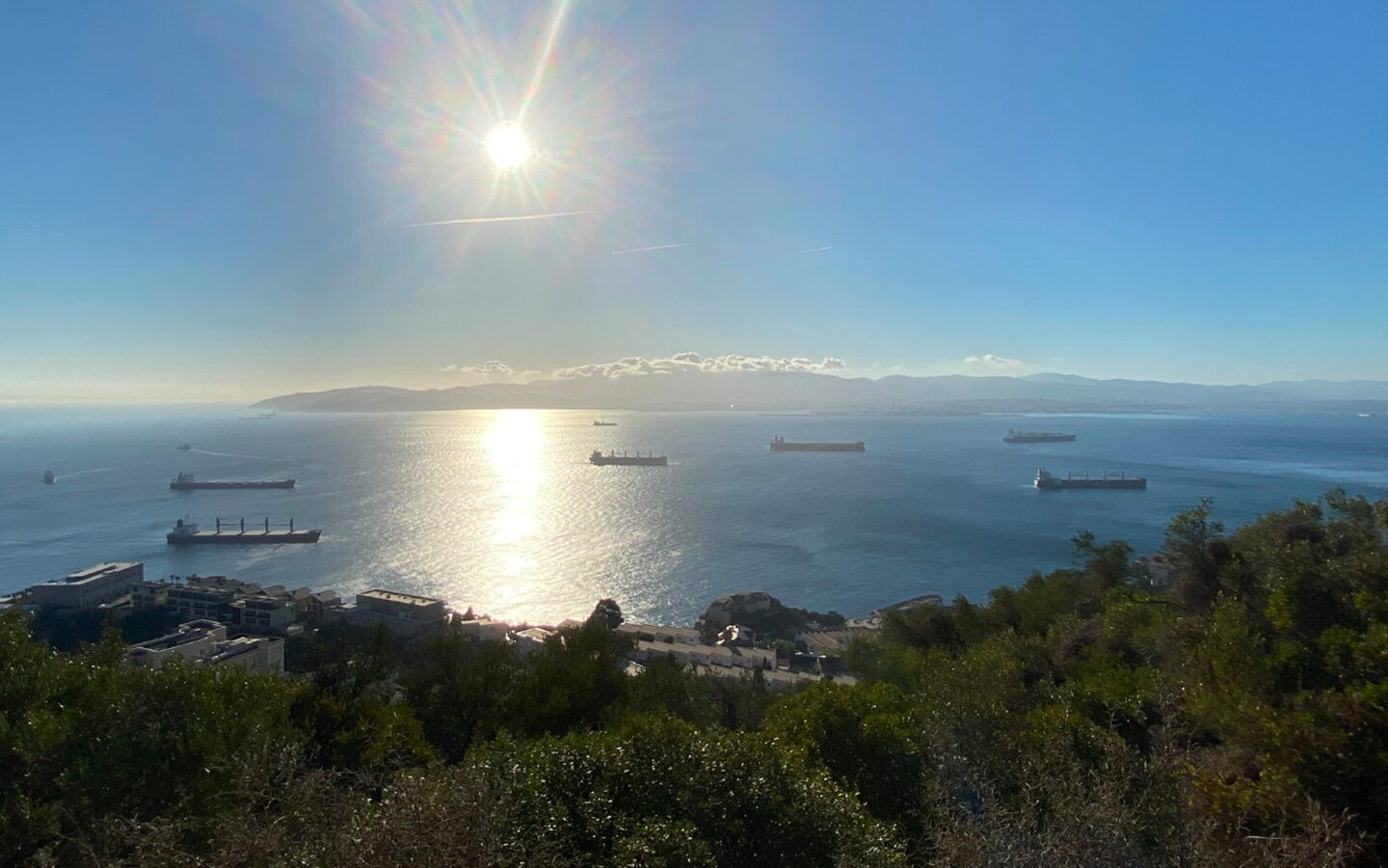 7 cargo ships at sea with low sun reflecting on the water